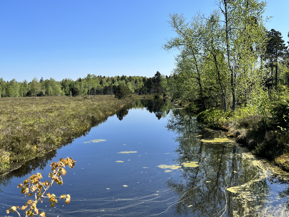 23-05-27 10-44-58 5720